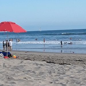 Meet your Posher, Adela